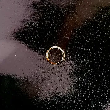 Nose Ring (1 Piece)