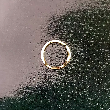 Nose Ring (1 Piece)